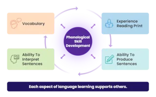 Diagram shows how vocabulary, reading, interpreting, and producing sentences support phonological skill development.