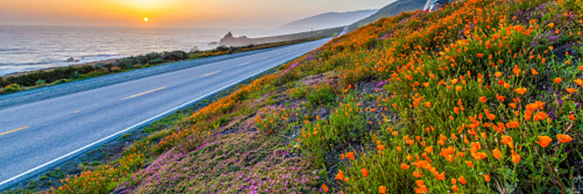 Lexia for California Banner