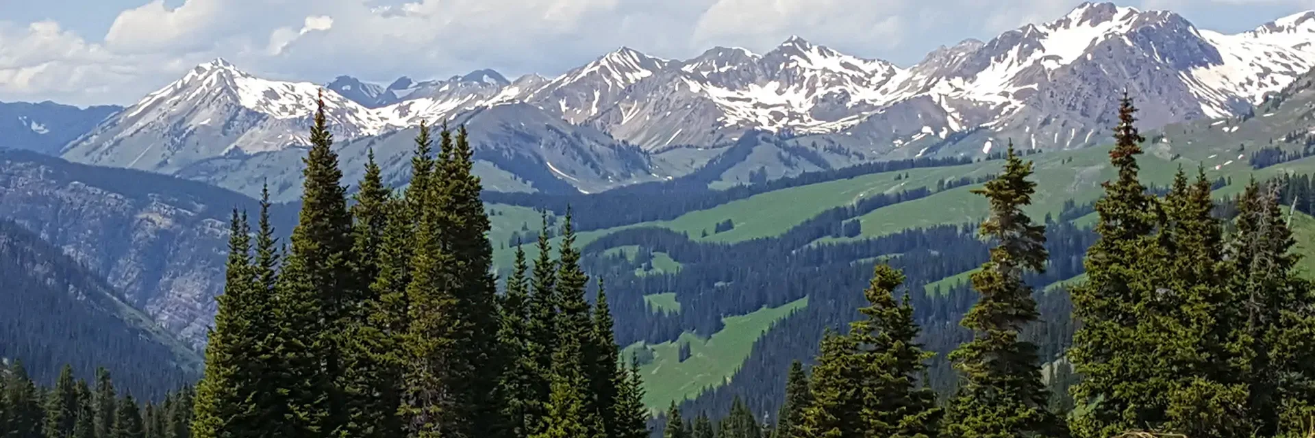 Snow-capped mountains with green hills and pine trees in the foreground under a partly cloudy sky.