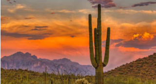 Arizona skyline: Reasons to Choose Lexia English for Arizona