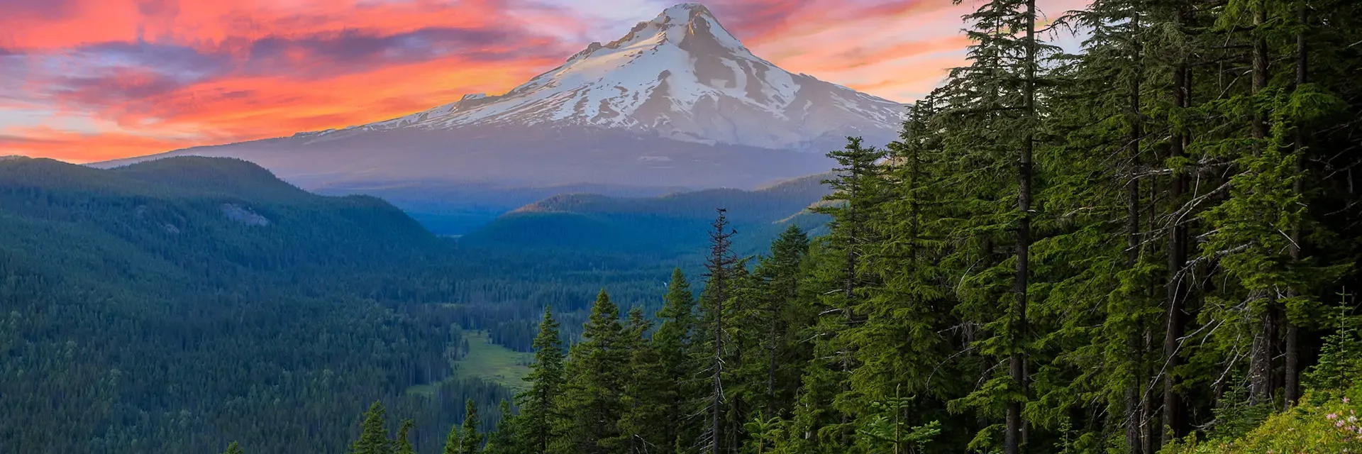 Snow-capped mountain at sunset with colorful sky, dense evergreen forest, and a green valley in the foreground.