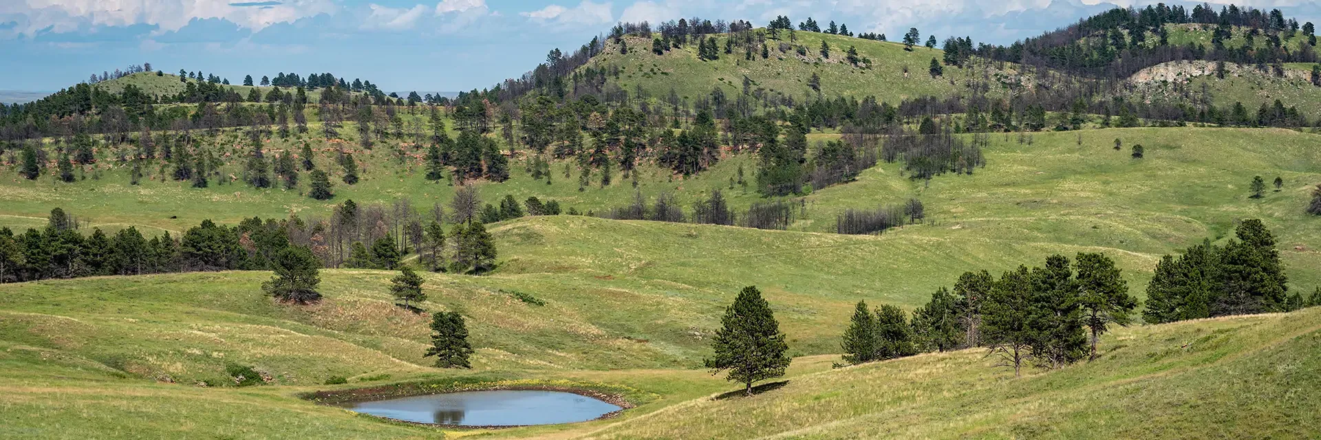 Rolling green hills with scattered trees and a small pond under a partly cloudy sky.
