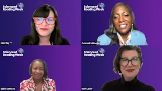 SOR Week Day 3 webinar still