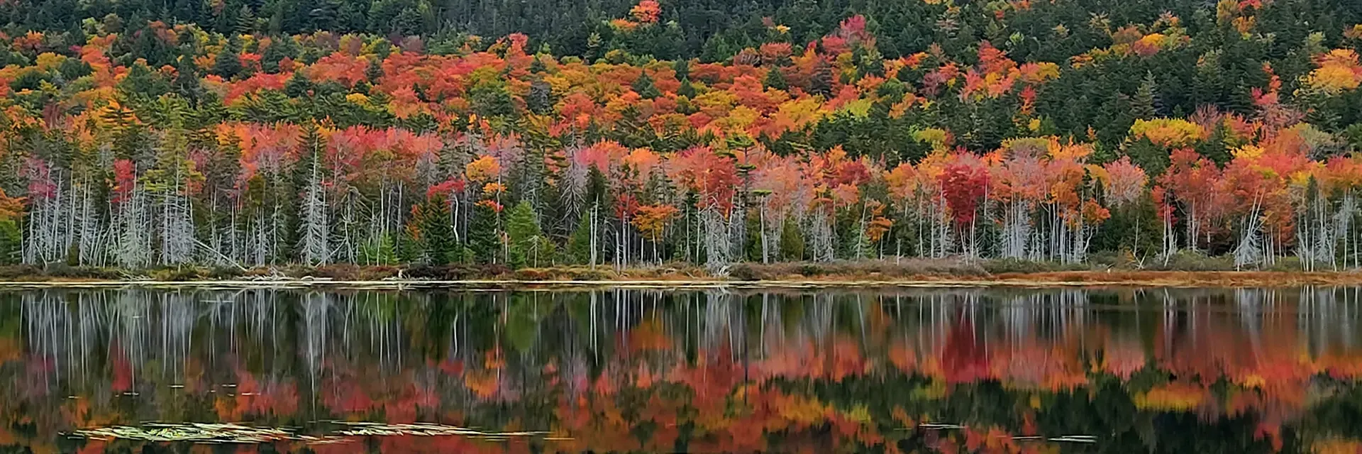 Colorful autumn trees with red, orange, and yellow leaves are reflected in a calm lake under a forested hillside.