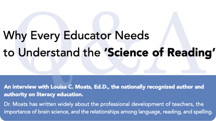 Bridges the gap in literacy teacher preparedness